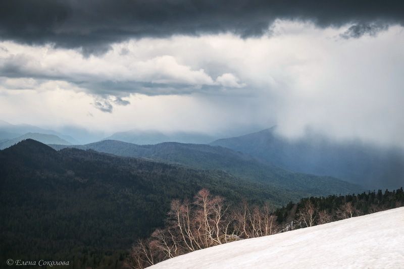кавказский заповедник, лагонаки, пейзаж, горы, весна Лаго-Накиphoto preview