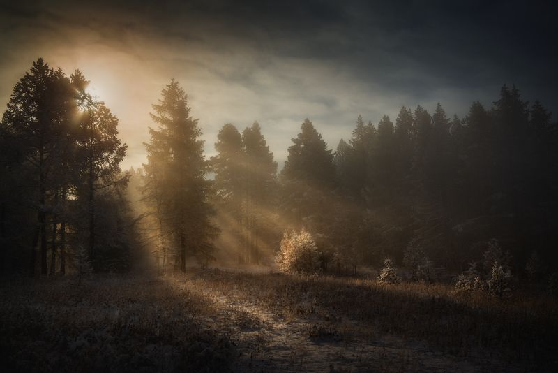 Алтай ***photo preview