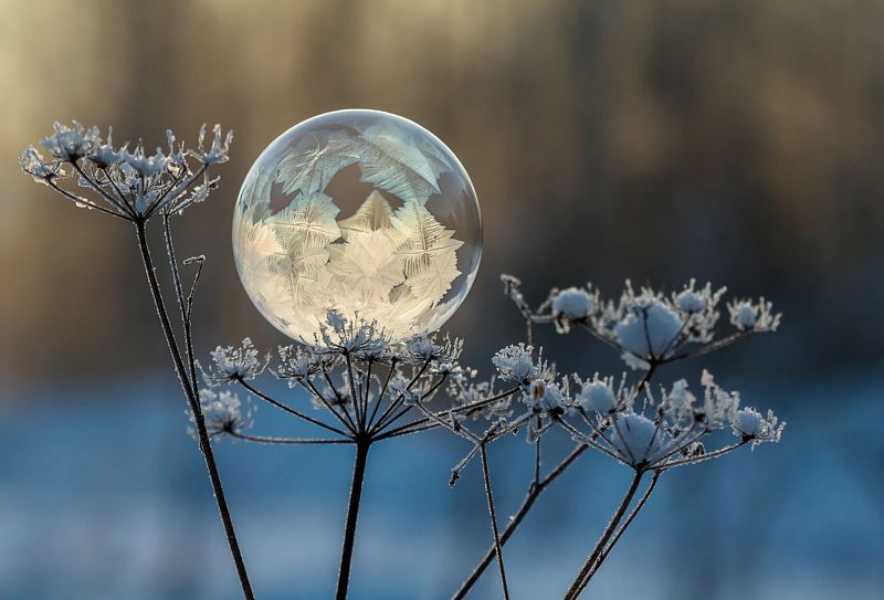 мыльный пузырьphoto preview