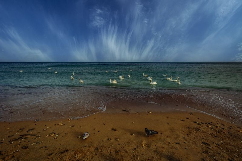 Крым 2022photo preview