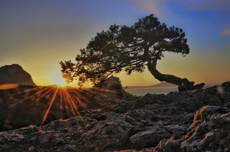 крым, пейзаж, лето photo preview