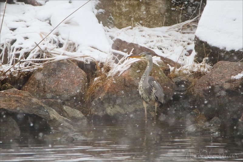 Маскировка фото превью