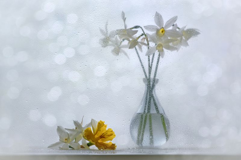 В хороводе светаphoto preview