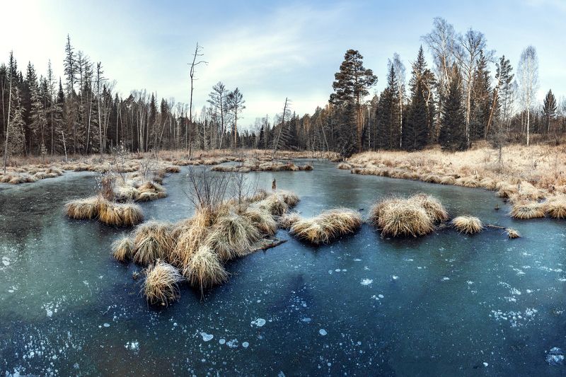 болото, лед, голубое Замерзшее болотоphoto preview