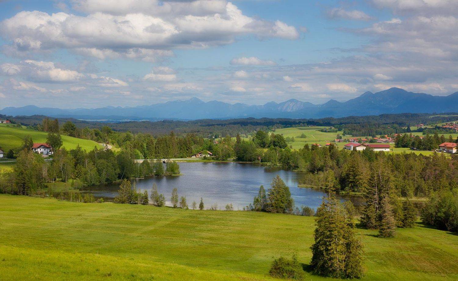 , Игорь Дубровский