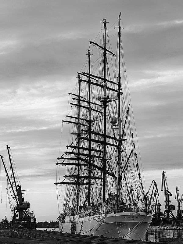 седов Барк Седов в порту Калининградаphoto preview