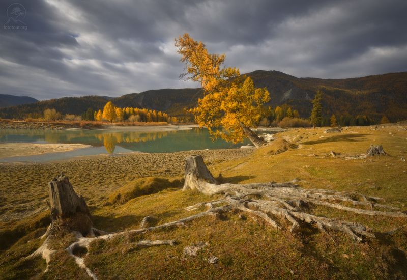 беляши, джазатор Утро в Беляшахphoto preview