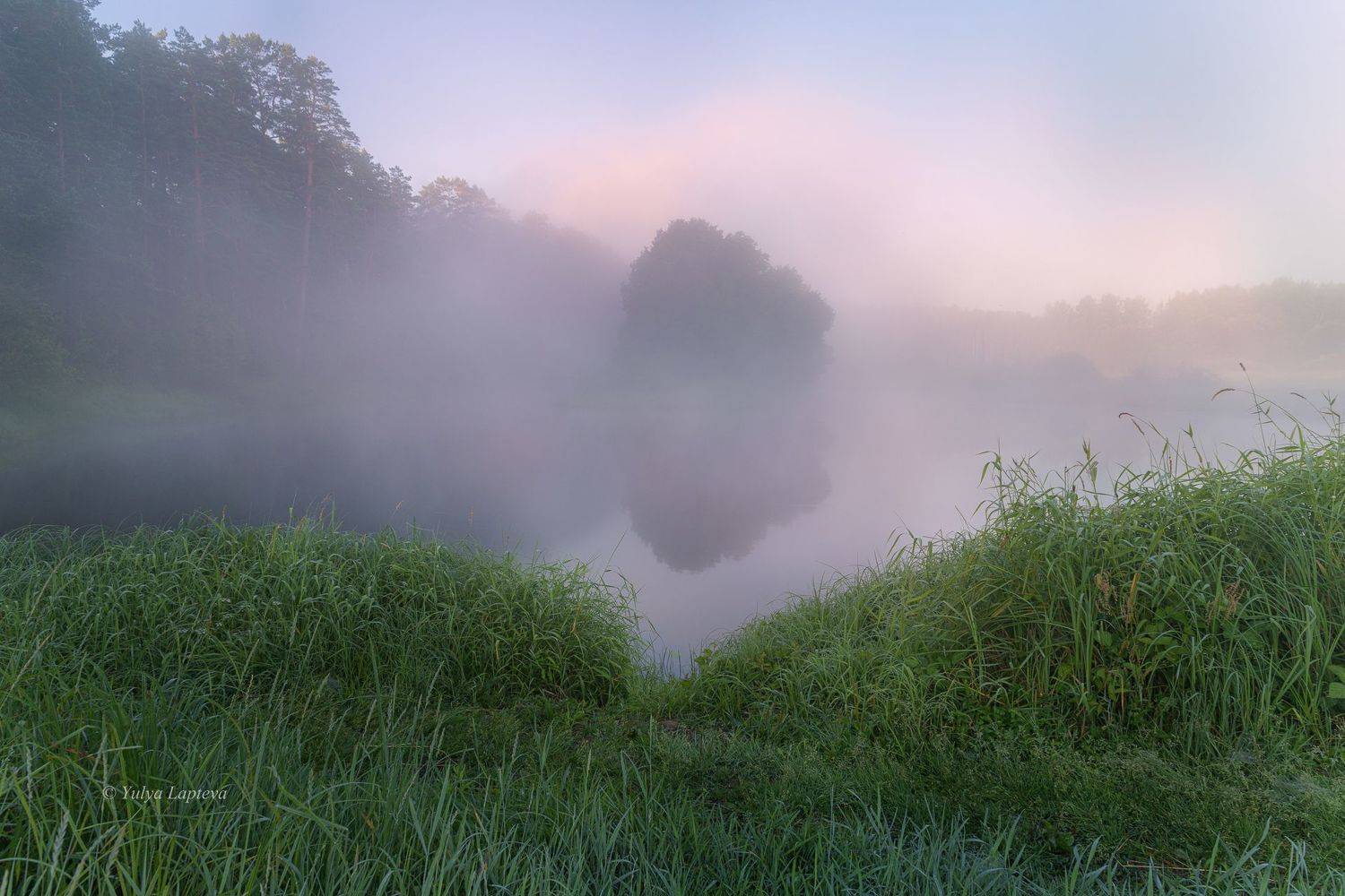 "Тишина июльского озера". Автор: Юлия Лаптева , Юлия Лаптева