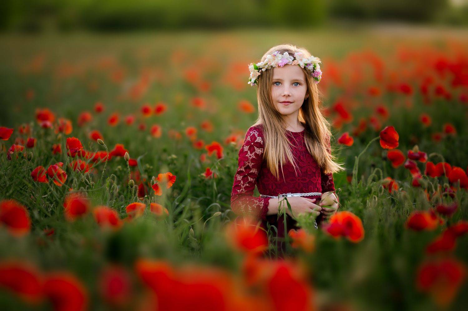My little princess. Автор: Stanislav Judas Girl, kids, color, flowers, red, princess, fairy, nature, sun., Stanislav Judas