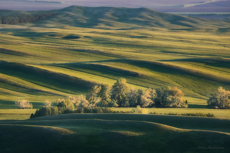 урал, оренбуржье, долгие горы, карамурунтау, степь, зелень, графика, тоскана Graphics of Orenburg region / графика Оренбуржьяphoto preview