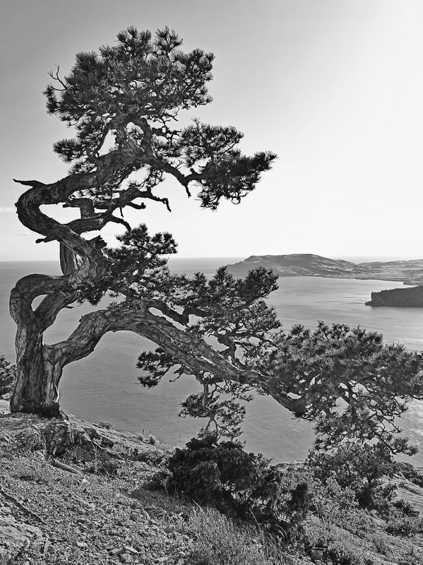 крым, черно-белое photo preview