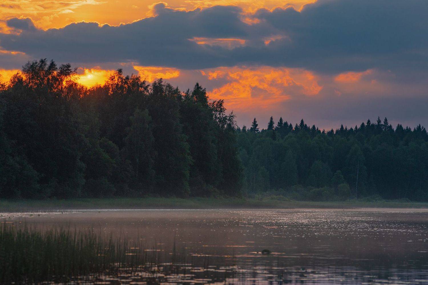 Вечерняя. Автор: Роман Горячий великий двор,вологодчина,кема,север, Роман Горячий