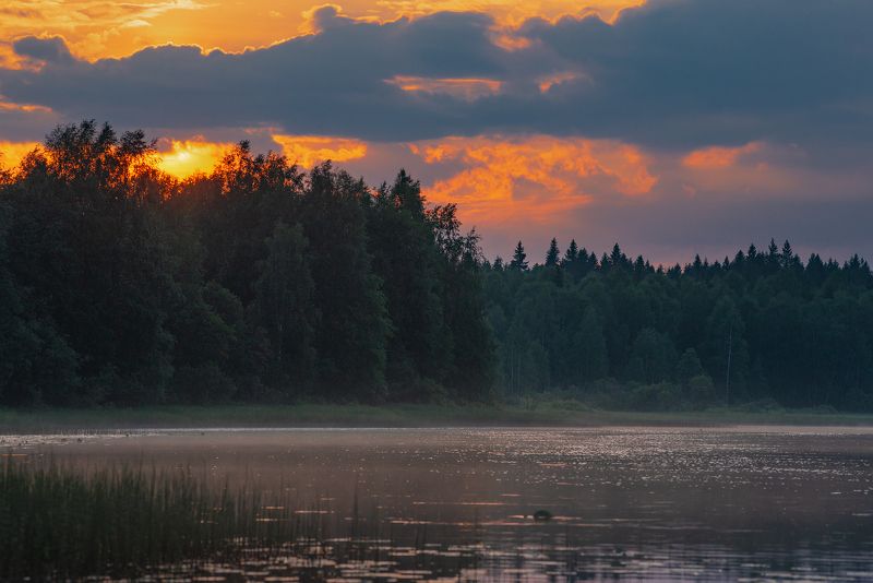 великий двор,вологодчина,кема,север Вечерняяphoto preview