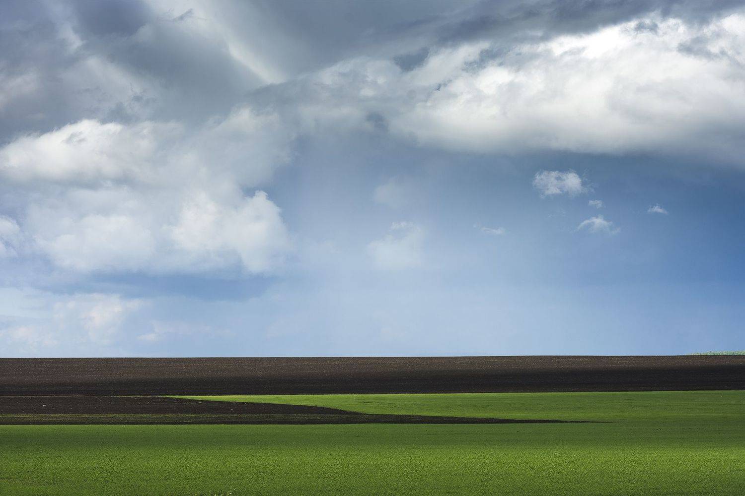 , Андрей Шарапов