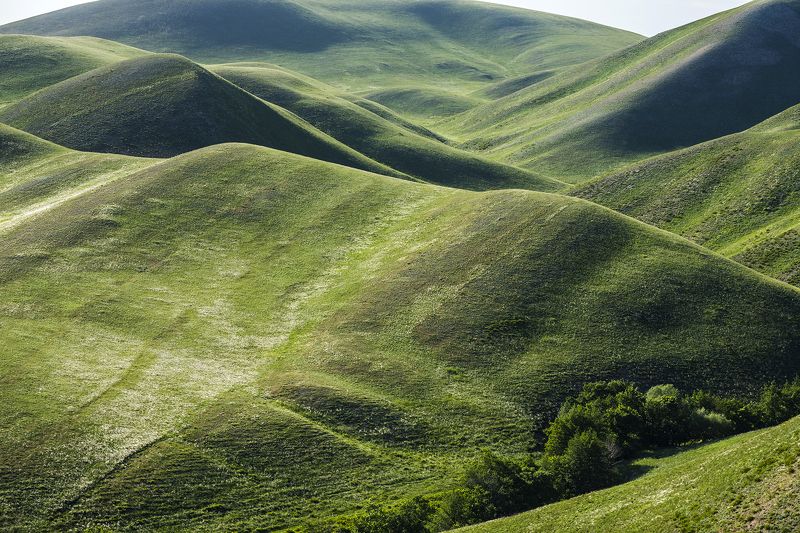 *******photo preview