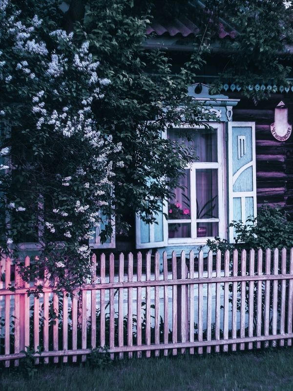 still life, macro, nature, flowers photo preview