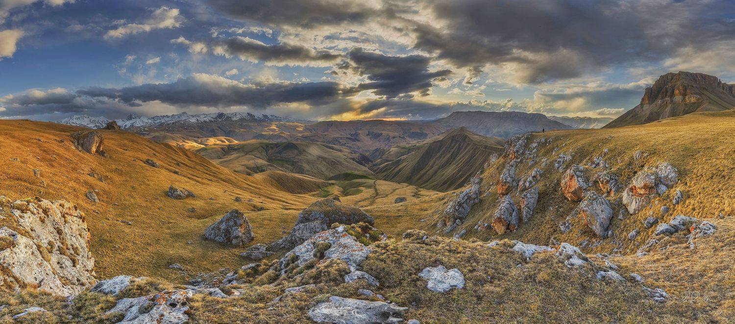 , ПУЗЕНКО ДМИТРИЙ