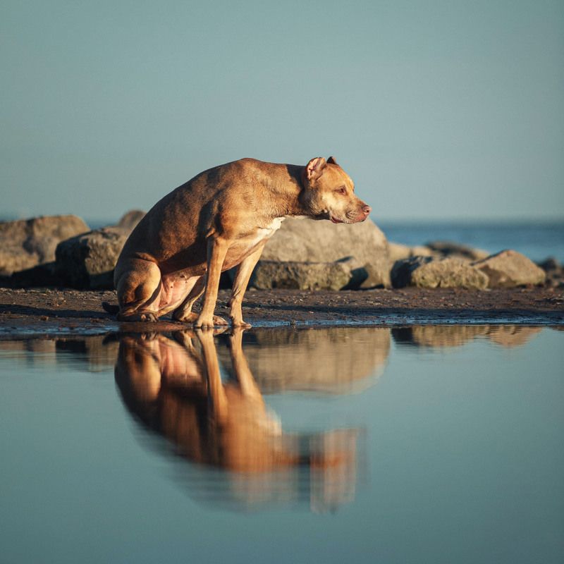 Полумесяцphoto preview