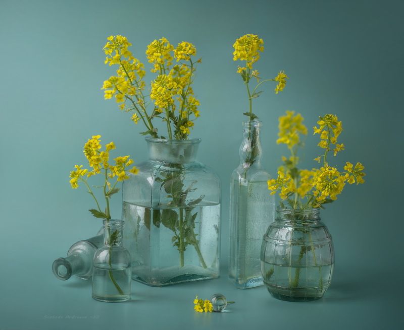 с луговыми*photo preview