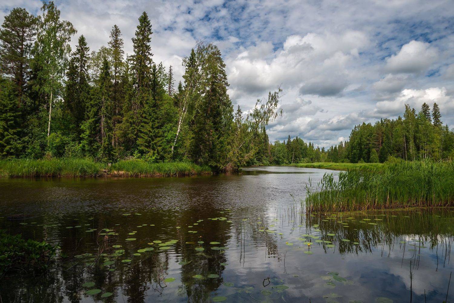 ***. Автор: Роман Горячий великий двор,вологодчина,кема,север, Роман Горячий