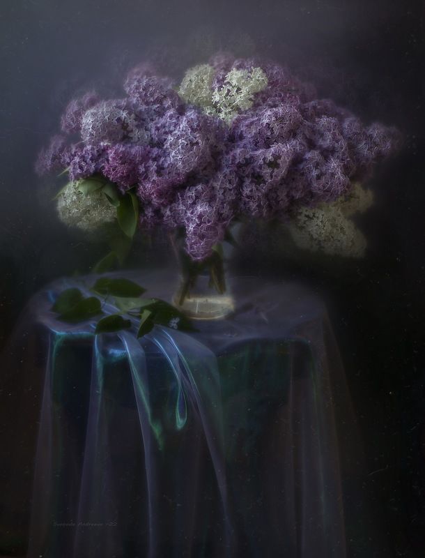 ночь с сиренью*photo preview