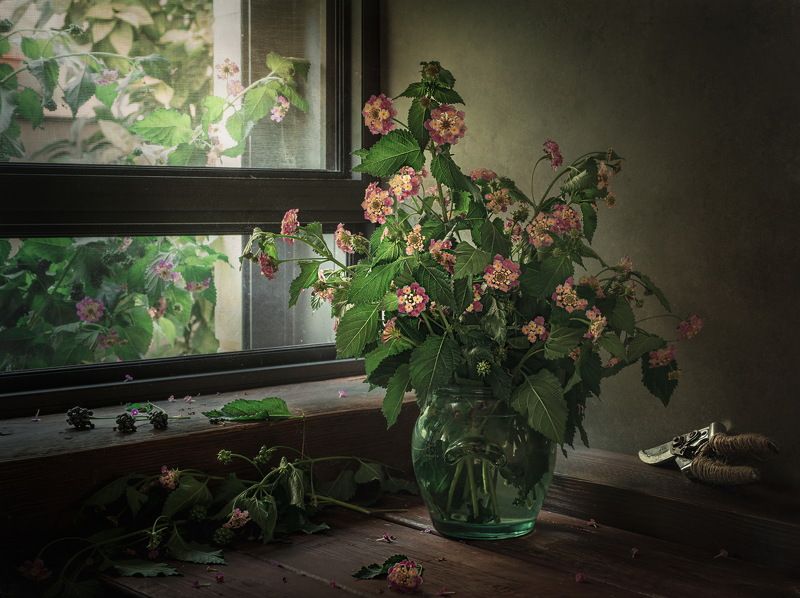 Зеленый букет-2photo preview