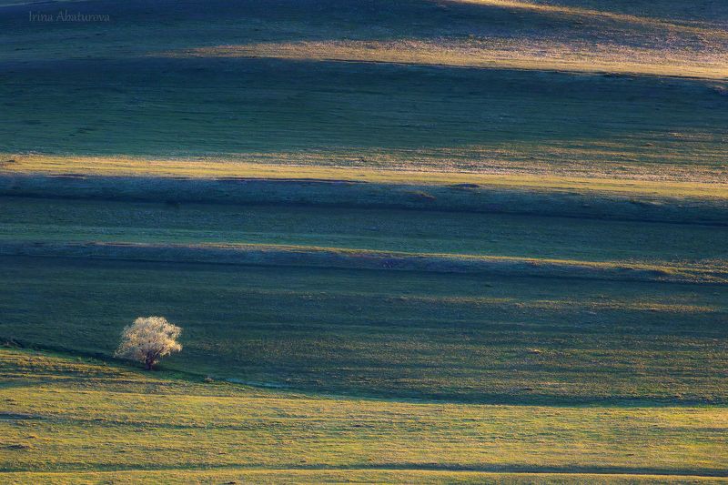 урал, оренбуржье, карумурунтау, графика, зелень, тоскана ***photo preview