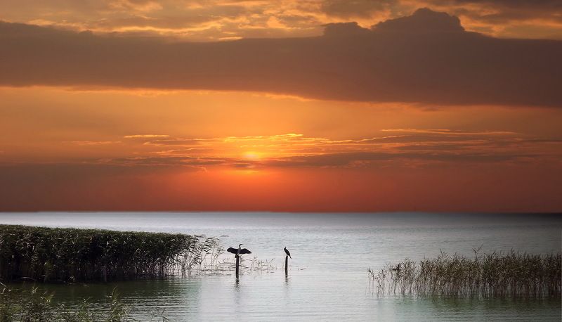 одесса ХАДЖИБЕЙphoto preview