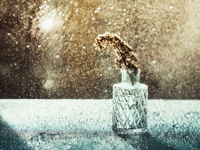 натюрморт, stillife, bokeh, sun Весенние водыphoto preview