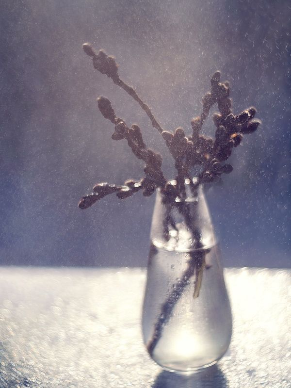 вербное, воскресенье Вербное воскресеньеphoto preview