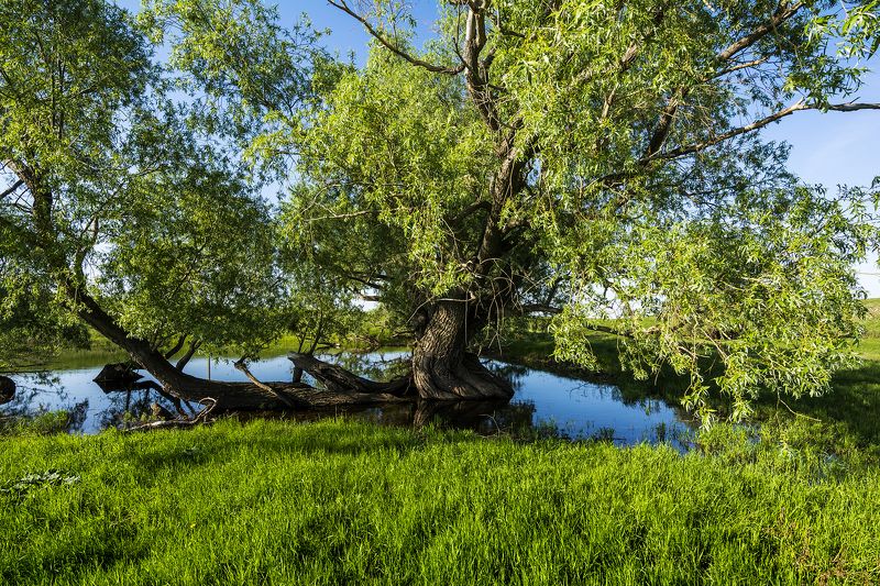 *******photo preview