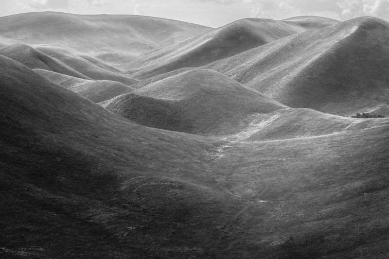 *******photo preview