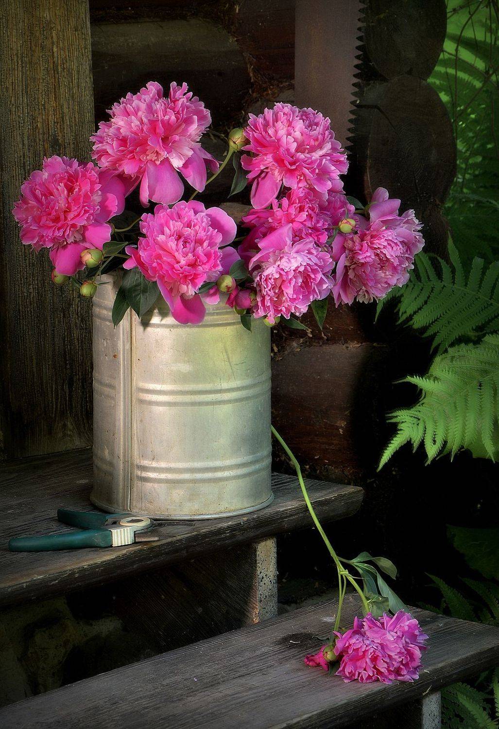 сергей алексеев, натюрморт, Сергей Алексеев