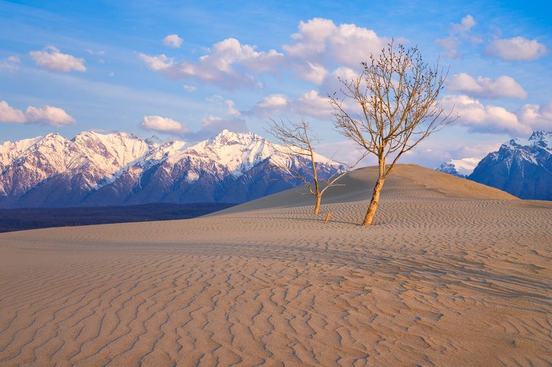 горы, рассвет, пустыня, чарские пески, забайкалье На планете Земля....photo preview