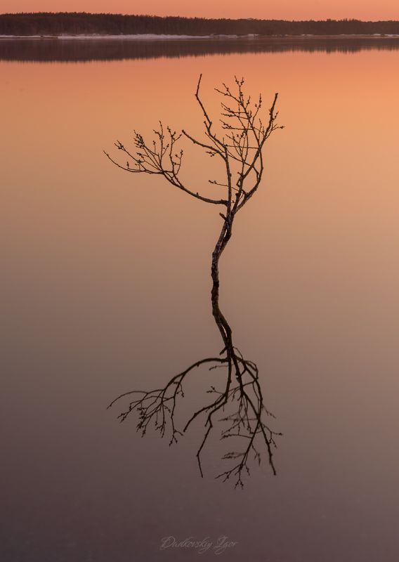 Без выдержки,  фото превью