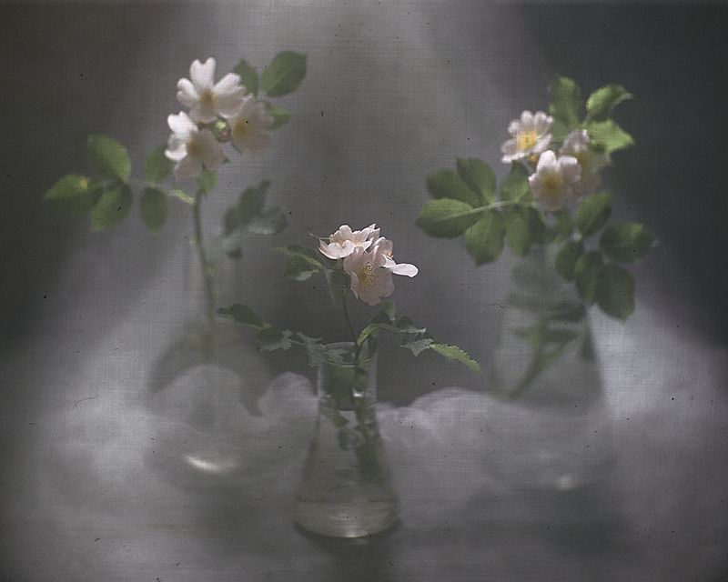 Вальс цветовphoto preview