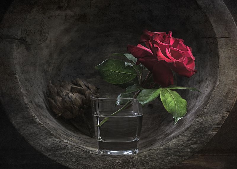 натюрморт,  деревенский, дерево, тарелка,  естественный свет, цветы, сухой артишок, роза в стакане Artichoke & Rose / Артишок и Розаphoto preview