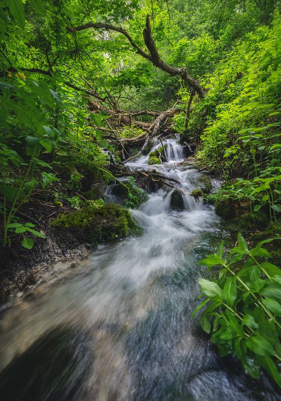 Водопадphoto preview