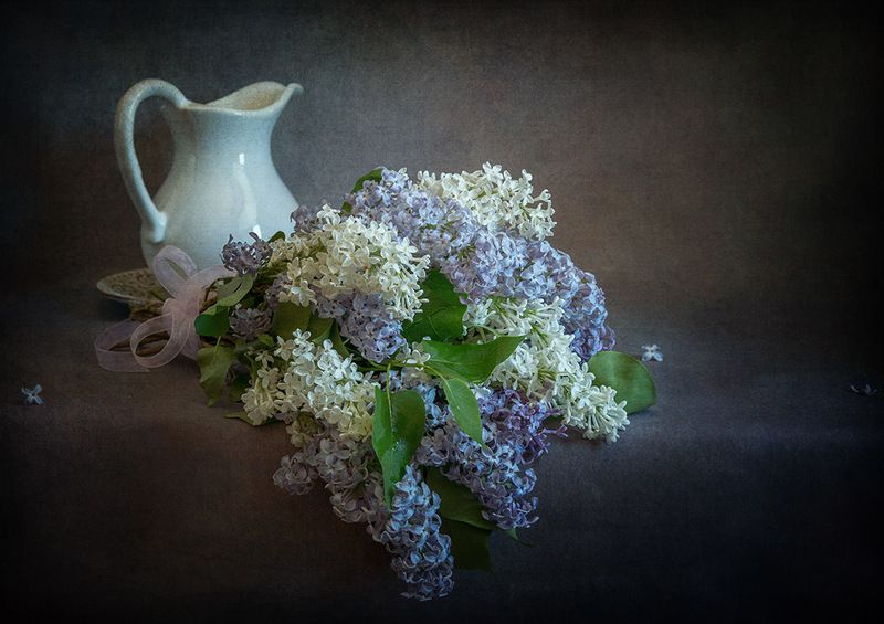 Аромат сирениphoto preview