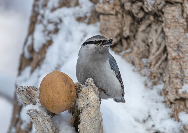 завтракphoto preview