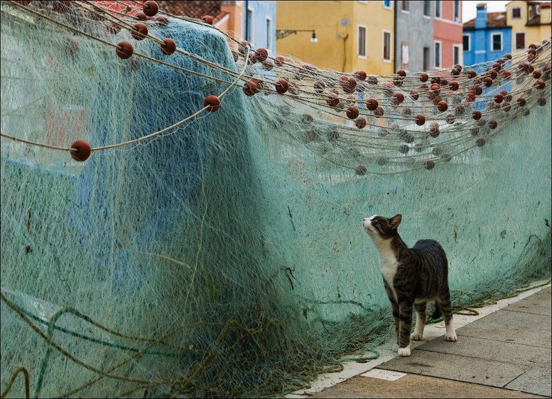 На запахphoto preview