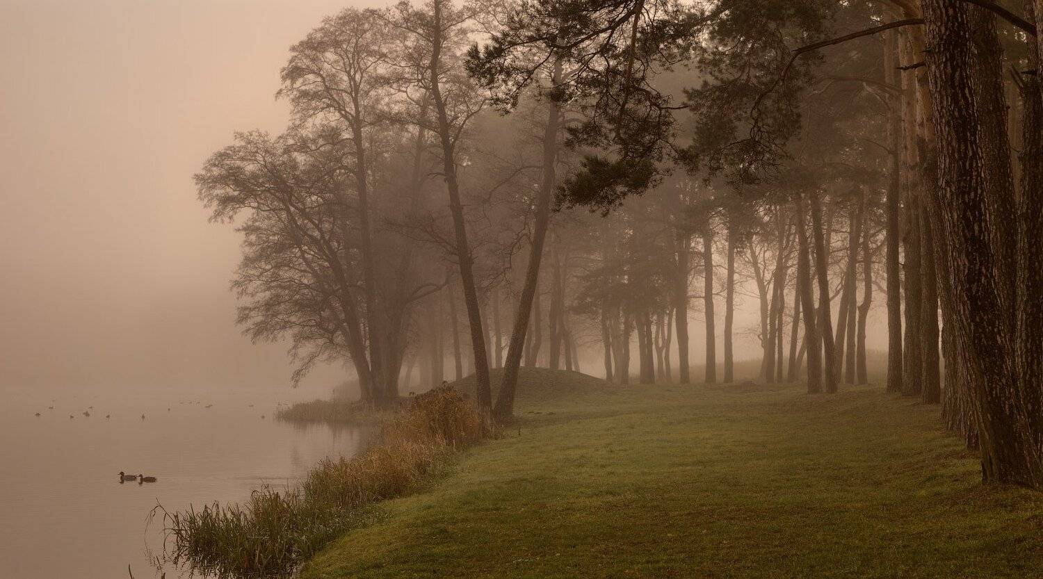 , Евгений Матюшенков