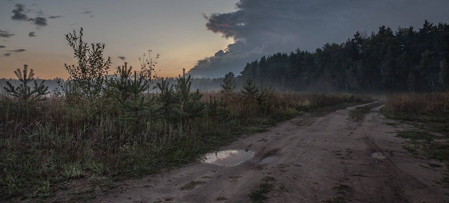 Осенняя роса. Автор: Андрей Леонидович купавна., подмосковье, Андрей Леонидович