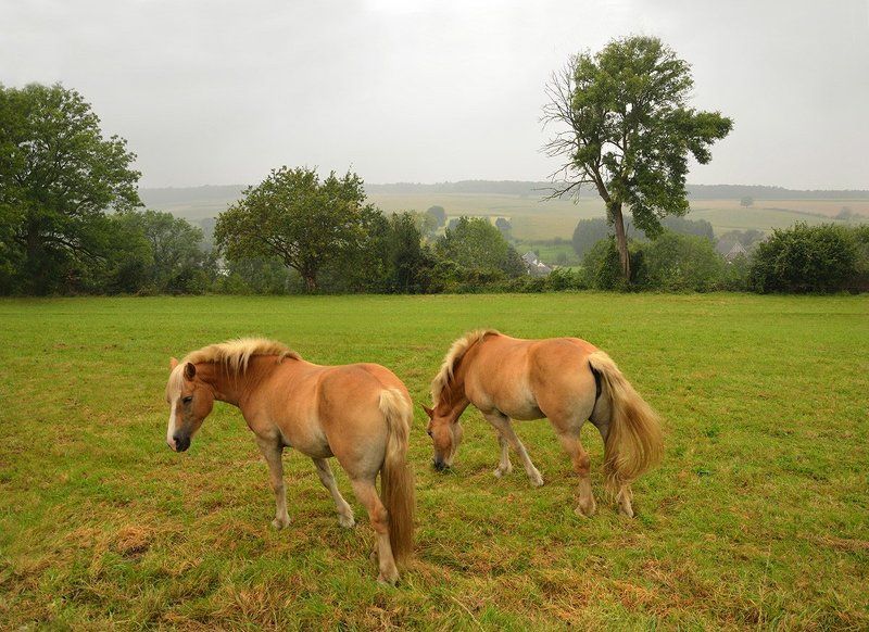 В сентябреphoto preview