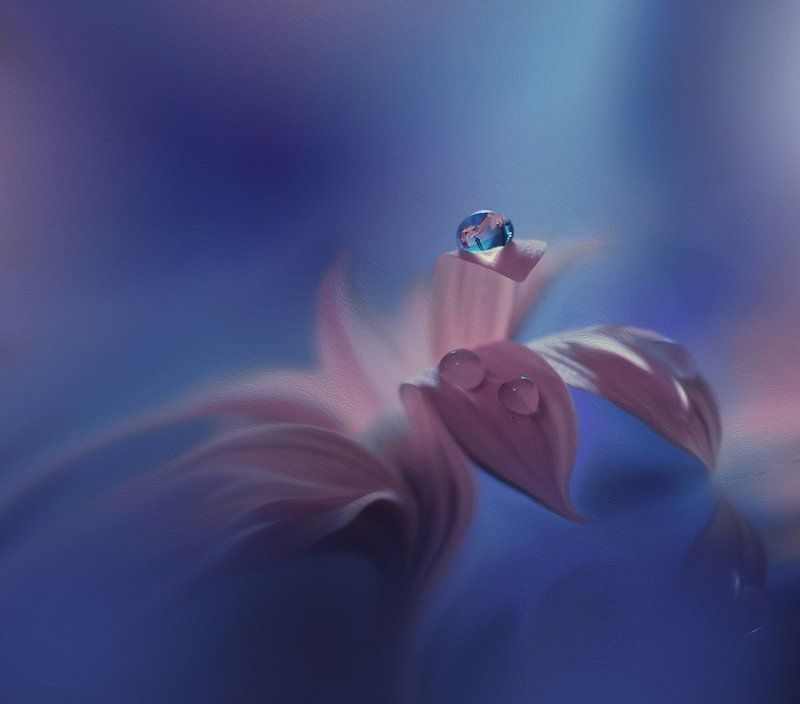 ..forgotten sounds...photo preview