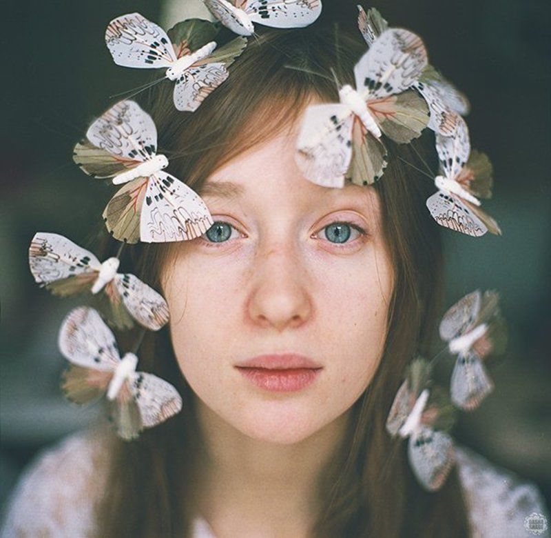 butterflyphoto preview