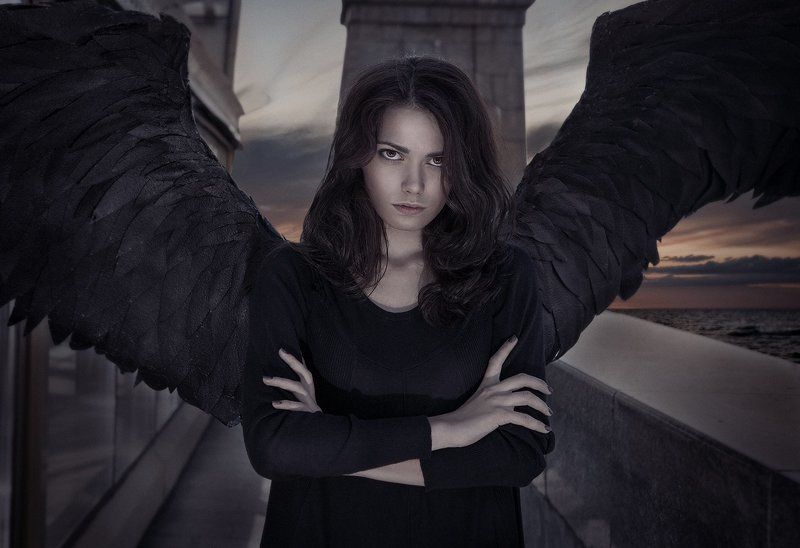 Ночная птица....photo preview