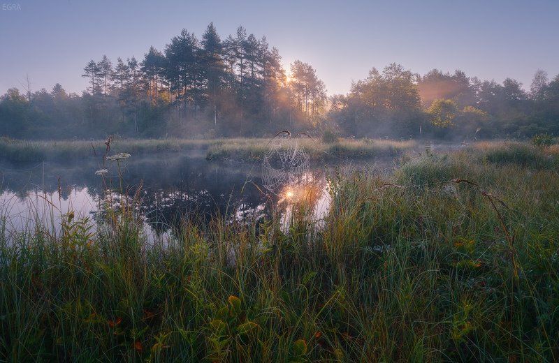 болото, кавголовское, туман Поймал !photo preview