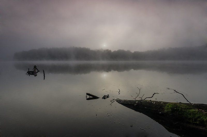 Foggy morningphoto preview