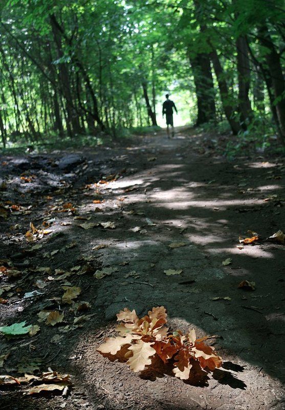 На прогулкеphoto preview